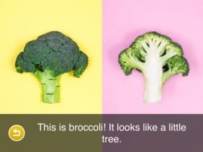 See & Eat Broccoli