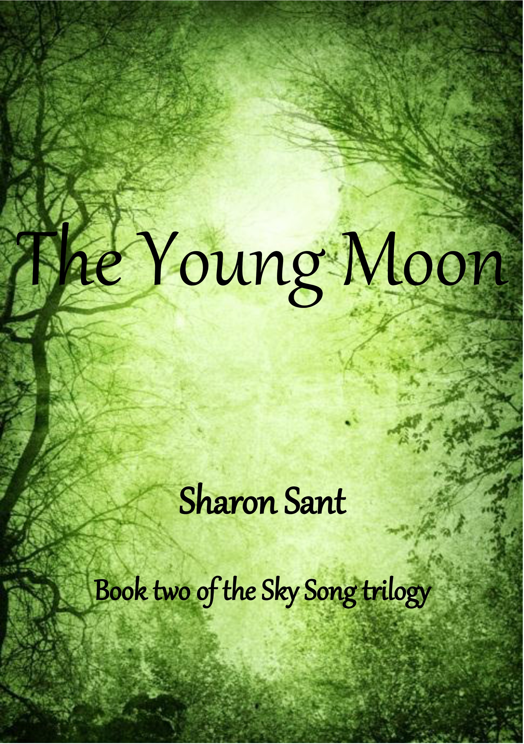 The Young Moon by Sharon Sant